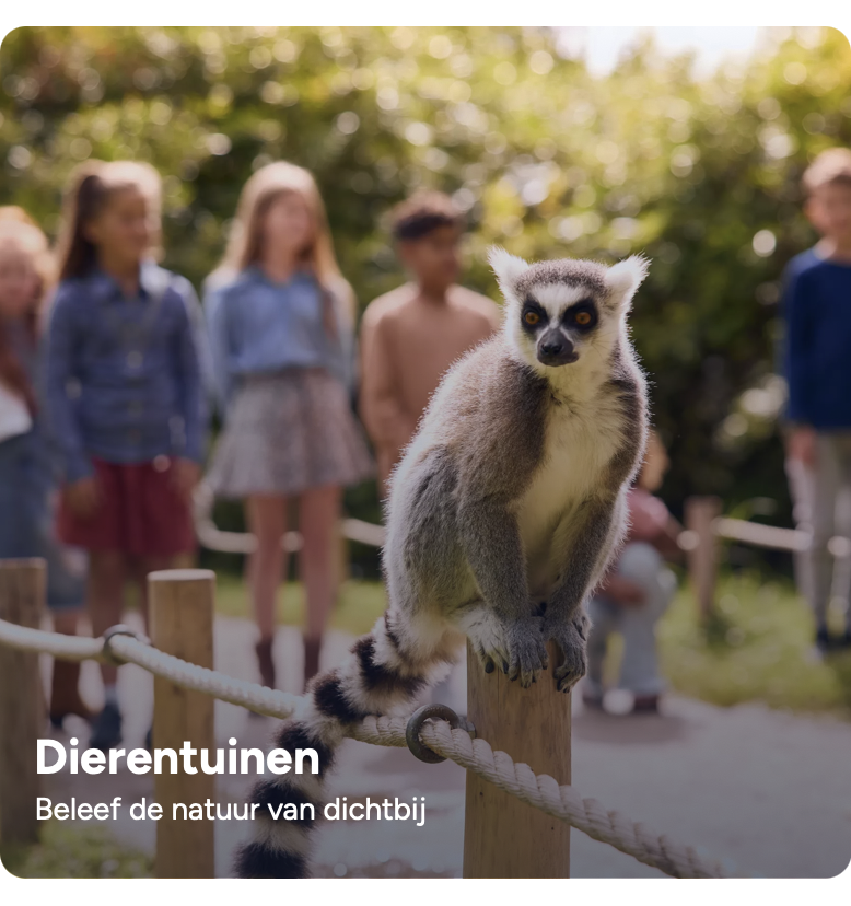 Dierentuinen